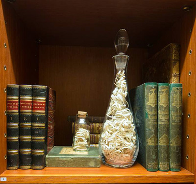 Apothecary’s Tale, The Folkestone Leech