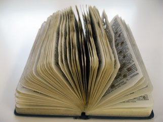 Lacuna, book art by Thurle Wright