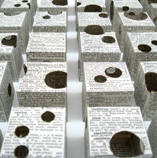Lectio Memoriae, book art by Thurle Wright