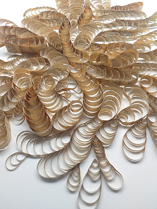 Musings with Hardy, book art by Thurle Wright